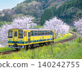 A local train line through a rural area where cherry blossoms bloom. 140242755