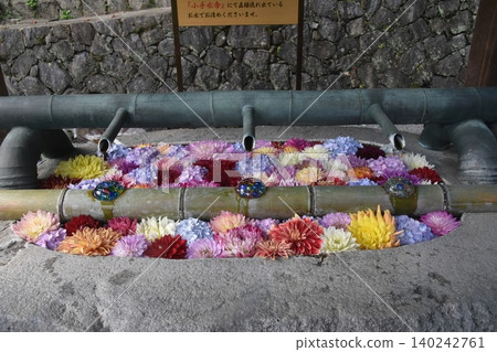 岡寺繡球花環線 岡寺繡球花環線 140242761