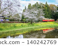 A local train line running through cherry blossoms and rice paddies. 140242769