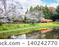 A train running through a landscape of cherry blossoms in full bloom. 140242770