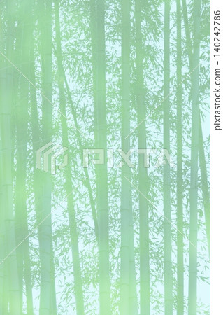 A beautiful bamboo grove with fresh green leaves and straight, tall bamboo stalks. A beautiful bamboo grove with fresh green leaves and straight, tall bamboo stalks. 140242786