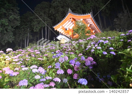 Mimurotoji Hydrangea light up Mimurotoji Hydrangea light up 140242857