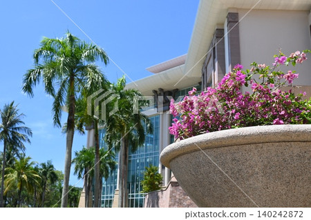 Bougainvillea shines in the blue sky 140242872