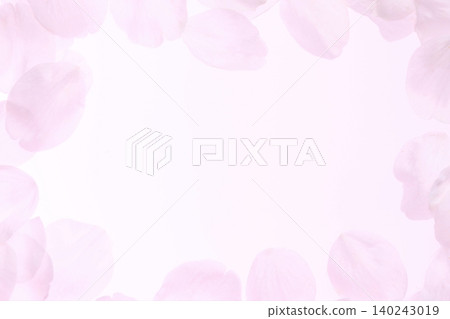 Cherry blossoms and petals of Somei Yoshino cherry tree against a white background. Cherry blossoms and petals of Somei Yoshino cherry tree against a white background. 140243019