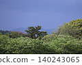 森林和山脈構成的風景，樹木長著鮮嫩的綠葉，在陰沉沉的天空下，彷彿即將下雨。 140243065