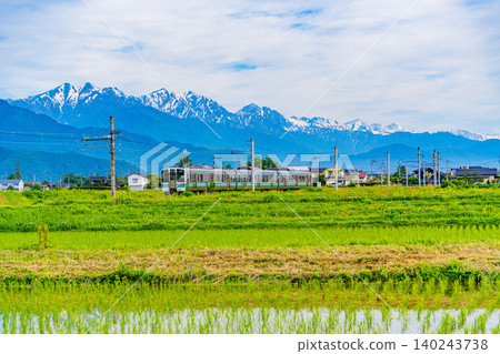 [Nagano Prefecture] A train runs through rice paddies where rice planting has just finished, with the Northern Alps in the background. 140243738