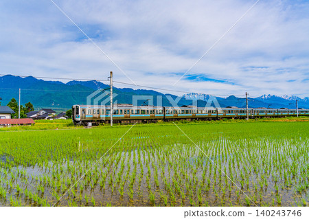 [Nagano Prefecture] A train runs through rice paddies where rice planting has just finished, with the Northern Alps in the background. 140243746