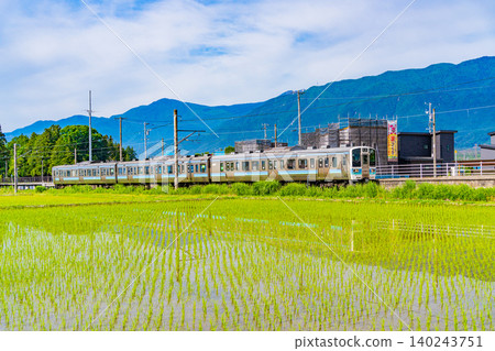[Nagano Prefecture] A train runs through rice paddies where rice planting has just finished, with the Northern Alps in the background. 140243751