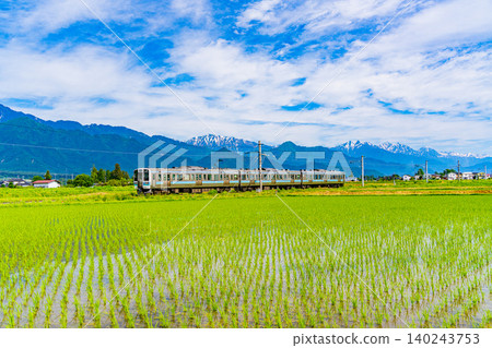 [Nagano Prefecture] A train runs through rice paddies where rice planting has just finished, with the Northern Alps in the background. 140243753