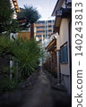 Pine in the garden 140243813