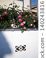 Roses in the garden 140243816