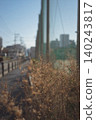 Withered grass 140243817
