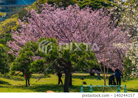 Hamarikyu Garden Hamarikyu Garden 140244157