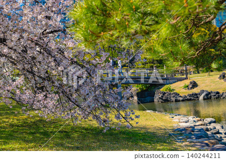 Hamarikyu Garden Hamarikyu Garden 140244211