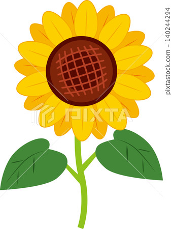 Simple sunflower illustration Simple sunflower illustration 140244294