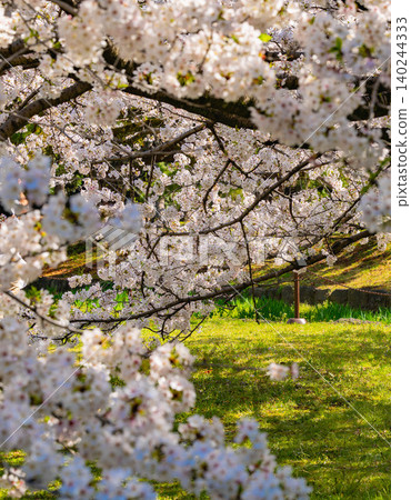 Hamarikyu Garden Hamarikyu Garden 140244333