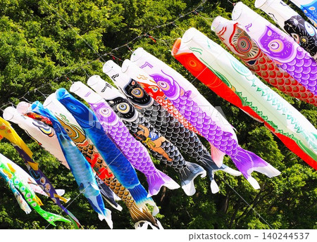 靜岡縣:鯉魚旗在翠綠的水中游動(五月) 靜岡縣:鯉魚旗在翠綠的水中游動(五月) 140244537