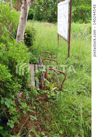 An old bench and spring plants in a green space An old bench and spring plants in a green space 140244548
