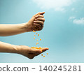 Hands pouring raw corn seeds against blue sky in sunlight. Agriculture, farming, food production 140245281