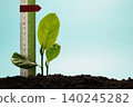 Young plant growing beside ruler ,personal growth, measurable progress and self development 140245282