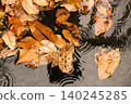 Top view of dried autumn leaves floating on rainwater 140245285
