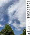 Fresh green and sky 140245771