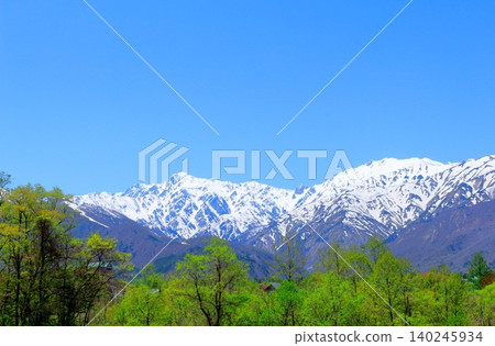 The Northern Alps from Hakuba Village in May; the mountains of Shinshu; the scenery of Shinshu. 140245934