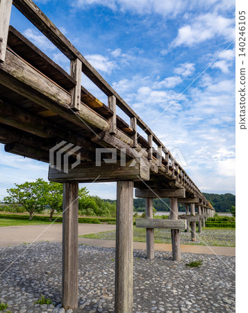 一座木橋(蓬萊橋)在藍天的襯托下格外醒目。 一座木橋(蓬萊橋)在藍天的襯托下格外醒目。 140246105