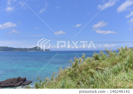 奄美大島,2026年初夏 奄美大島,2026年初夏 140246142