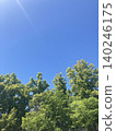 Fresh green and sky 140246175