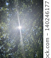 Backlight 140246177