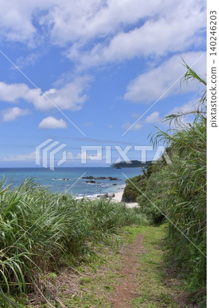 2026年初夏奄美大島的海面 2026年初夏奄美大島的海面 140246203