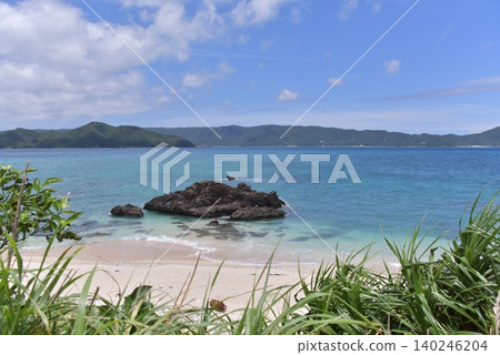 2026年初夏奄美大島的海面 2026年初夏奄美大島的海面 140246204