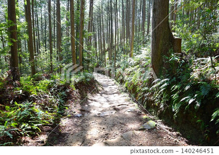 Scenery near Kumano Hongu Taisha Shrine on the Kumano Kodo Nakahechi route, a World Heritage Site (Part 4) Scenery near Kumano Hongu Taisha Shrine on the Kumano Kodo Nakahechi route, a World Heritage Site (Part 4) 140246451