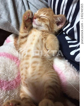 Beckoning cat calling happiness 140246565