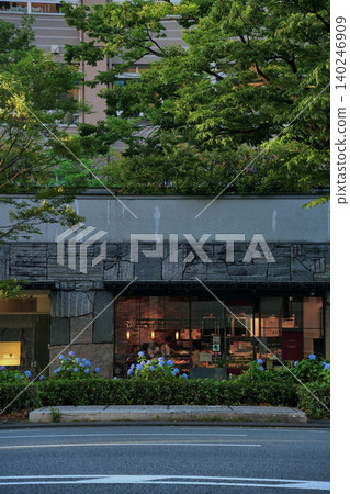 京都大池通的藍色繡球花稱為「大池藍」。 京都大池通的藍色繡球花稱為「大池藍」。 140246909