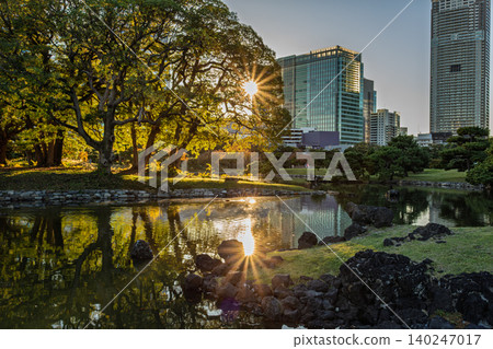 陽光灑在潮汐池中，夕陽照亮了樹木。濱離宮庭園，2023年11月。 140247017