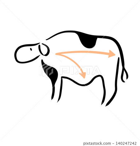 Line drawing illustration of a dairy cow showing the path of feed | Milk, manure, and dairy farming diagrams Line drawing illustration of a dairy cow showing the path of feed | Milk, manure, and dairy farming diagrams 140247242