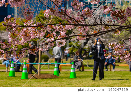 濱離宮花園 濱離宮花園 140247339