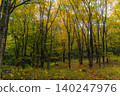 A forest in early autumn with changing leaves (horizontal view) 140247976