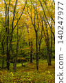Autumn forest with changing leaves (vertical) 140247977