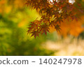 Vibrant and bright autumn leaves_horizontal 140247978
