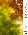 Vibrant and bright autumn leaves_vertical 140247979