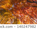 Autumn Leaves Ceiling - 1 140247982