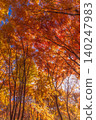 Autumn Leaves Ceiling - 2 140247983