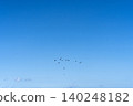 湛藍的天空，飛鳥翱翔 140248182