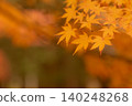 Maple leaves shrouded in light - 3 140248268
