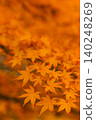 Maple leaves shrouded in light - 4 140248269