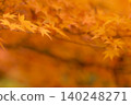 Maple leaves shrouded in light - 2 140248271
