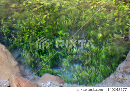 The clear stream surrounded by lush greenery of the Oike spring group - Oita Prefecture The clear stream surrounded by lush greenery of the Oike spring group - Oita Prefecture 140248277